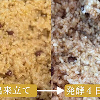 画像2280：薬膳キーマカレー