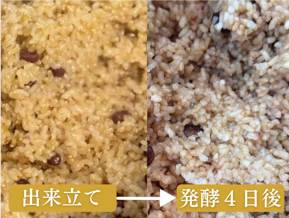 画像2280：薬膳キーマカレー